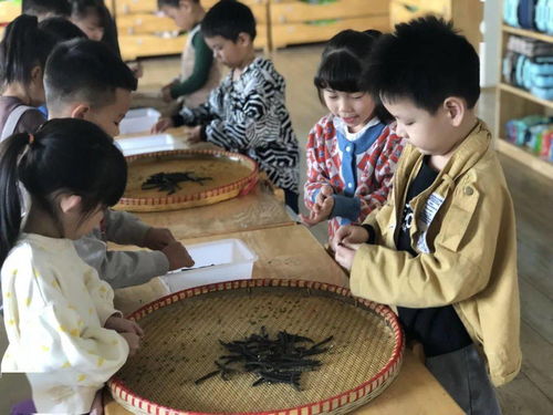 把秋天的幸福搬进幼儿园 义亭镇中心幼儿园大班段重阳 晒秋 体验活动