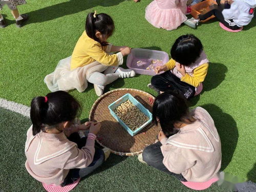 把秋天的幸福搬进幼儿园——义亭镇中心幼儿园与金鸡亭幼儿园重阳晒秋体验活动纪实