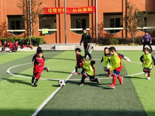 义亭镇中心幼儿园2019年度大事记 一杯茶的时间，盘点金鸡亭幼儿园文明实践精彩瞬间