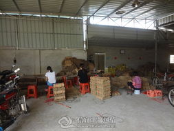 信宜市竹发制品厂与金鸡亭幼儿园 产业与文化在乡土中的交融