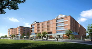 金鸡亭幼儿园 拱墅区现代化核心城区建设中的教育新篇章