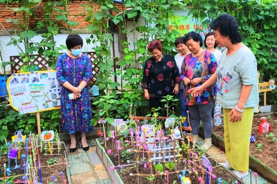 厦门市思明区教育系统关工委调研金鸡亭幼儿园特色品牌工作